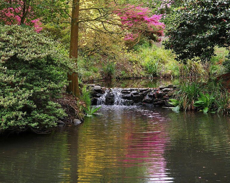 Clyne Gardens, United Kingdom